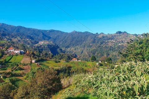 Terra a Santana, Madeira, Santana - € 85.000 | Ref: C0447-00077 - foto 11