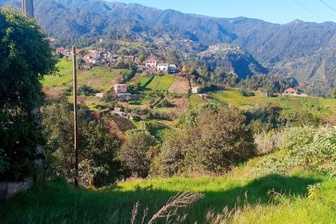 Terra a Santana, Madeira, Santana - € 85.000 | Ref: C0447-00077 - foto 12
