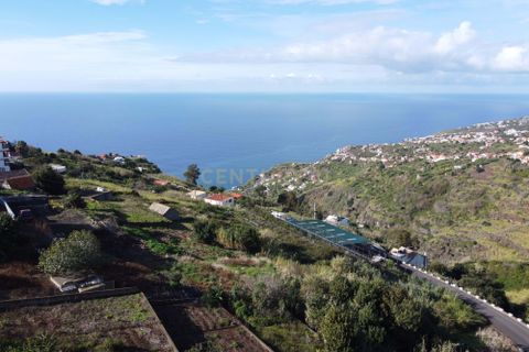 Helårsgrund i Calheta, Madeira, Calheta - € 105.000 | Ref: C0447-00078 - foto 6