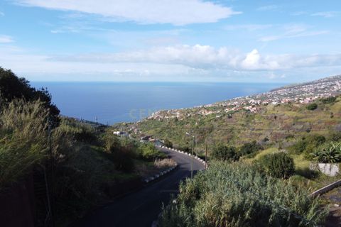 Helårsgrund i Calheta, Madeira, Calheta - € 105.000 | Ref: C0447-00078 - foto 10