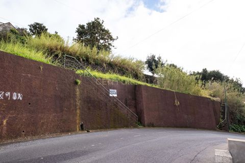 Helårsgrund i Calheta, Madeira, Calheta - € 105.000 | Ref: C0447-00078 - foto 13