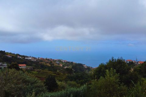 Helårsgrund i Calheta, Madeira, Calheta - € 35.000 | Ref: C0447-00123 - foto 2