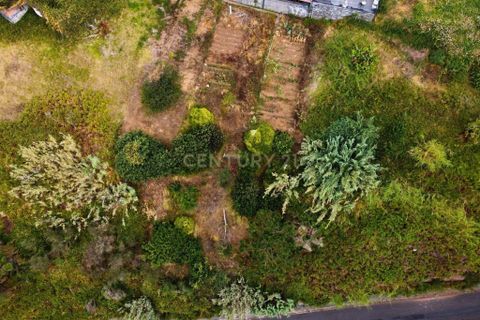 Helårsgrund i Calheta, Madeira, Calheta - € 35.000 | Ref: C0447-00123 - foto 9