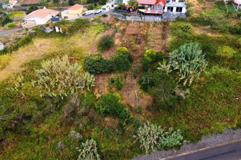 Helårsgrund i Calheta, Madeira, Calheta - € 35.000 | Ref: C0447-00123 - foto 10