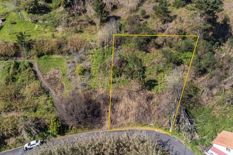 Helårsgrund i Calheta, Madeira, Calheta - € 70.000 | Ref: C0447-00125 - foto 3