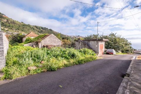 Helårsgrund i Calheta, Madeira, Calheta - € 500.000 | Ref: C0447-00137 - foto 4