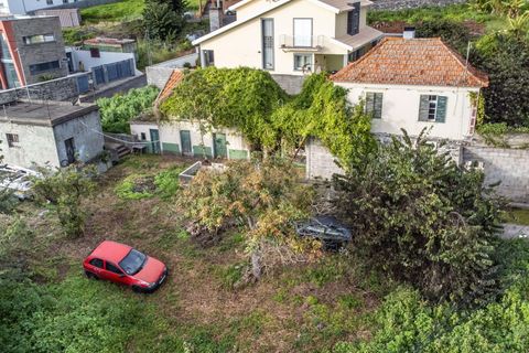 Helårsgrund i Calheta, Madeira, Calheta - € 500.000 | Ref: C0447-00137 - foto 8
