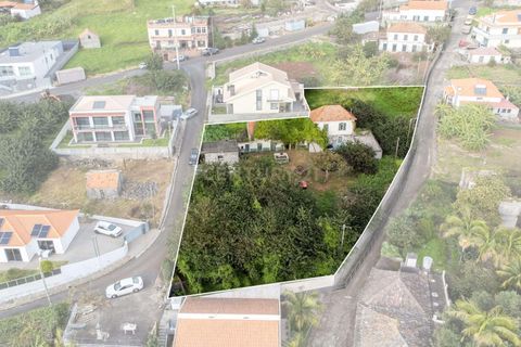 Helårsgrund i Calheta, Madeira, Calheta - € 500.000 | Ref: C0447-00137 - foto 11