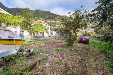 Helårsgrund i Calheta, Madeira, Calheta - € 500.000 | Ref: C0447-00137 - foto 12
