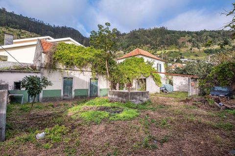 Helårsgrund i Calheta, Madeira, Calheta - € 500.000 | Ref: C0447-00137 - foto 13