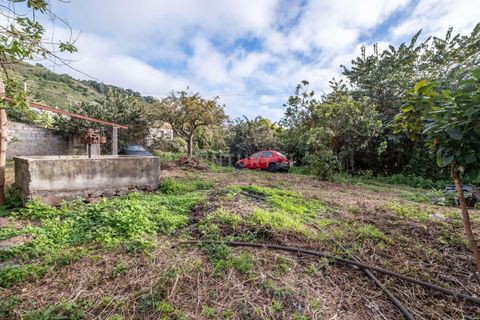 Helårsgrund i Calheta, Madeira, Calheta - € 500.000 | Ref: C0447-00137 - foto 14