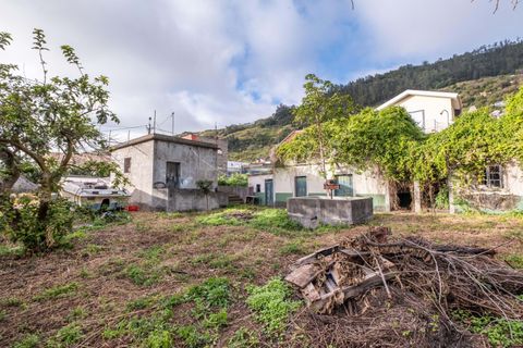 Helårsgrund i Calheta, Madeira, Calheta - € 500.000 | Ref: C0447-00137 - foto 17