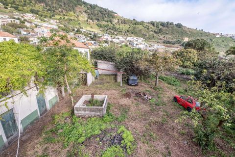 Helårsgrund i Calheta, Madeira, Calheta - € 500.000 | Ref: C0447-00137 - foto 19