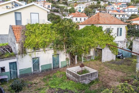 Helårsgrund i Calheta, Madeira, Calheta - € 500.000 | Ref: C0447-00137 - foto 22