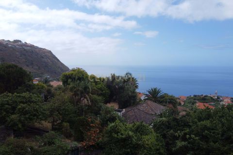 Helårsgrund i Calheta, Madeira, Calheta - € 500.000 | Ref: C0447-00137 - foto 23