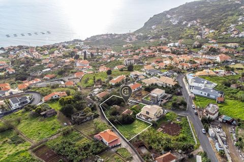 Helårsgrund i Calheta, Madeira, Calheta - € 500.000 | Ref: C0447-00137 - foto 26
