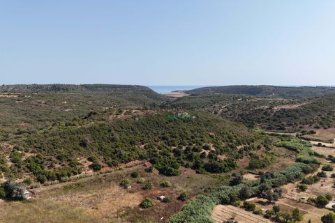 Terra a Budens, Faro, Budens - € 170.000 | Ref: WI-0111 - foto 6