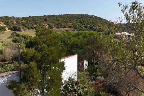 Terra a Budens, Faro, Budens - € 170.000 | Ref: WI-0111 - foto 15