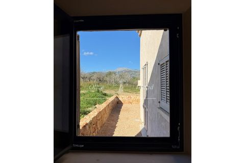 Villa a Selva, Mallorca, Selva - € 3.500.000 | Ref: SELV563 - foto 38