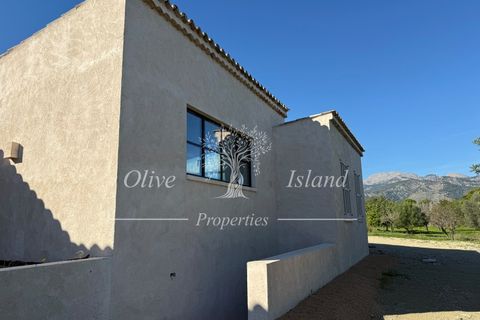 Villa a Selva, Mallorca, Selva - € 3.500.000 | Ref: SELV563 - foto 41