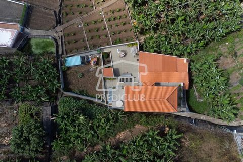 Villa a Ribeira Brava, Madeira, Ribeira Brava - € 380.000 | Ref: 11666-PFR - foto 2