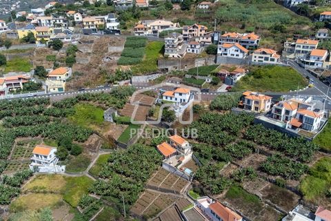 Villa a Ribeira Brava, Madeira, Ribeira Brava - € 380.000 | Ref: 11666-PFR - foto 3
