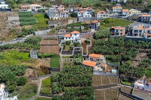 Villa a Ribeira Brava, Madeira, Ribeira Brava - € 380.000 | Ref: 11666-PFR - foto 4