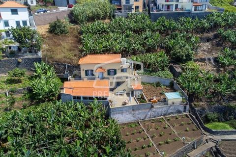 Villa a Ribeira Brava, Madeira, Ribeira Brava - € 380.000 | Ref: 11666-PFR - foto 6