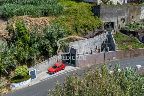 Villa a Ribeira Brava, Madeira, Ribeira Brava - € 380.000 | Ref: 11666-PFR - foto 8