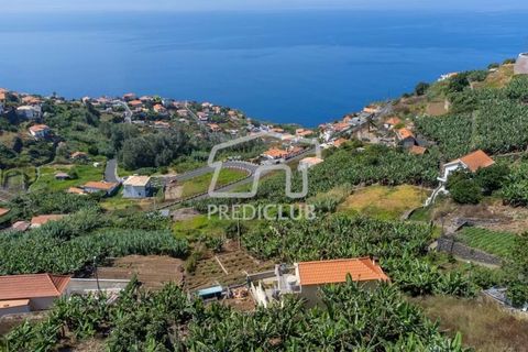 Villa a Ribeira Brava, Madeira, Ribeira Brava - € 380.000 | Ref: 11666-PFR - foto 11