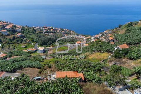 Villa a Ribeira Brava, Madeira, Ribeira Brava - € 380.000 | Ref: 11666-PFR - foto 12