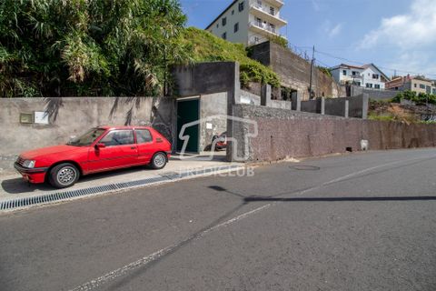 Villa a Ribeira Brava, Madeira, Ribeira Brava - € 380.000 | Ref: 11666-PFR - foto 13