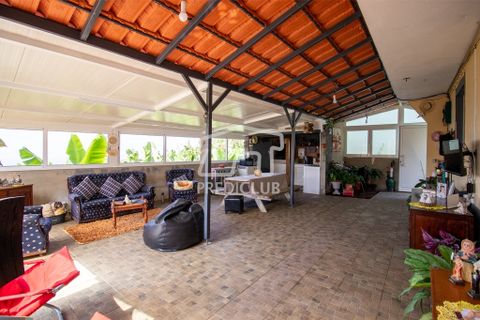 Villa a Ribeira Brava, Madeira, Ribeira Brava - € 380.000 | Ref: 11666-PFR - foto 14