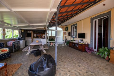 Villa a Ribeira Brava, Madeira, Ribeira Brava - € 380.000 | Ref: 11666-PFR - foto 15