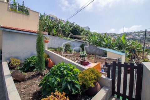 Villa a Ribeira Brava, Madeira, Ribeira Brava - € 380.000 | Ref: 11666-PFR - foto 19