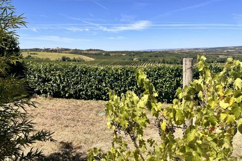 Villa a Routier, Aude, Routier - € 259.700 | Ref: 852E4DD8BA754665 - foto 15
