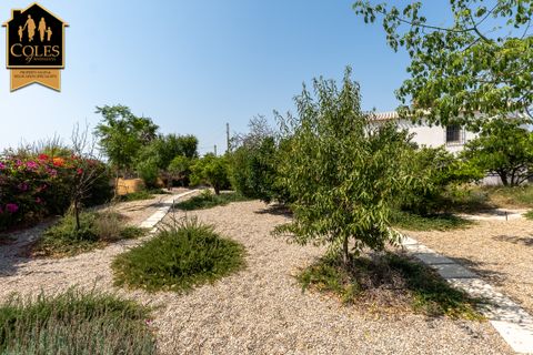 Cortijo i Antas, Almeria, Antas - € 325.000 | Ref: ANT4C03 - foto 35