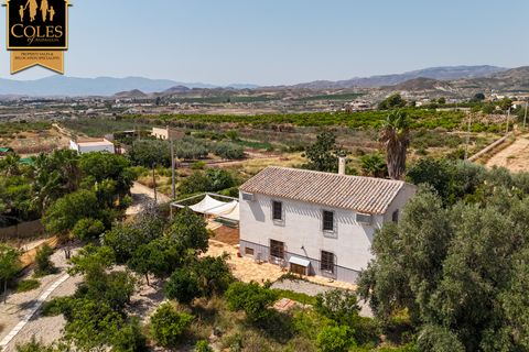 Cortijo i Antas, Almeria, Antas - € 325.000 | Ref: ANT4C03 - foto 37
