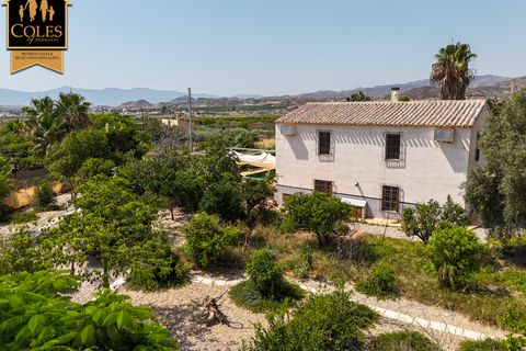 Cortijo i Antas, Almeria, Antas - € 325.000 | Ref: ANT4C03 - foto 40