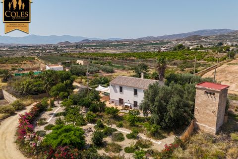 Cortijo i Antas, Almeria, Antas - € 325.000 | Ref: ANT4C03 - foto 39
