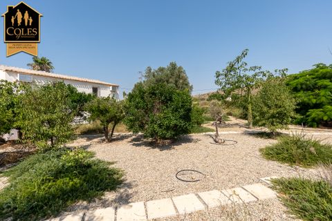 Cortijo i Antas, Almeria, Antas - € 325.000 | Ref: ANT4C03 - foto 27