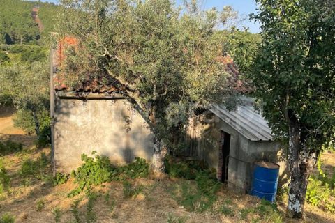 Helårsgrund i Covilha, Castelo Branco, Covilha - € 40.000 | Ref: 394250084 - foto 4