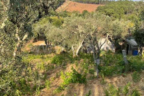 Helårsgrund i Covilha, Castelo Branco, Covilha - € 40.000 | Ref: 394250084 - foto 6