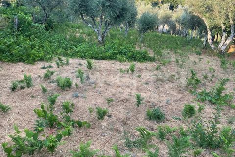 Helårsgrund i Covilha, Castelo Branco, Covilha - € 40.000 | Ref: 394250084 - foto 8