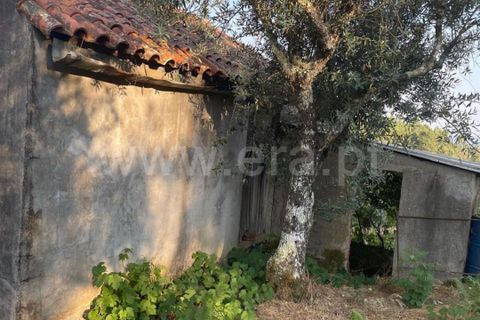 Helårsgrund i Covilha, Castelo Branco, Covilha - € 40.000 | Ref: 394250084 - foto 16