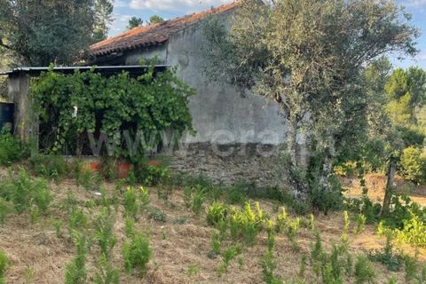 Helårsgrund i Covilha, Castelo Branco, Covilha - € 40.000 | Ref: 394250084 - foto 20