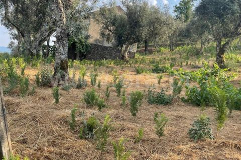 Helårsgrund i Covilha, Castelo Branco, Covilha - € 40.000 | Ref: 394250084 - foto 22