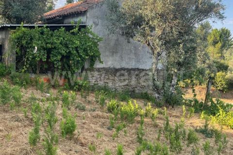 Helårsgrund i Covilha, Castelo Branco, Covilha - € 40.000 | Ref: 394250084 - foto 23
