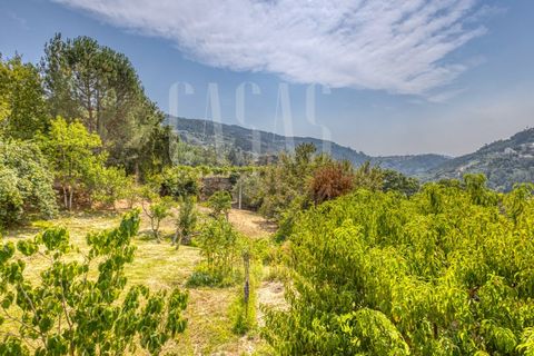 Villa a Cinfaes, Viseu, Cinfaes - € 300.000 | Ref: CCA186 - foto 17