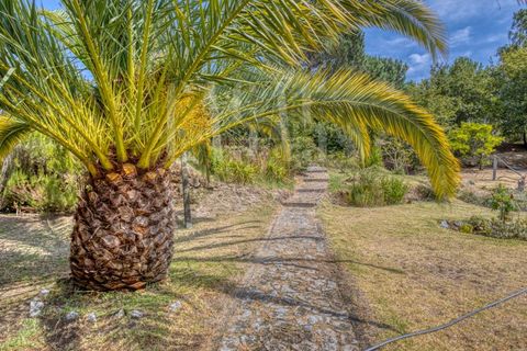 Villa a Cinfaes, Viseu, Cinfaes - € 300.000 | Ref: CCA186 - foto 19